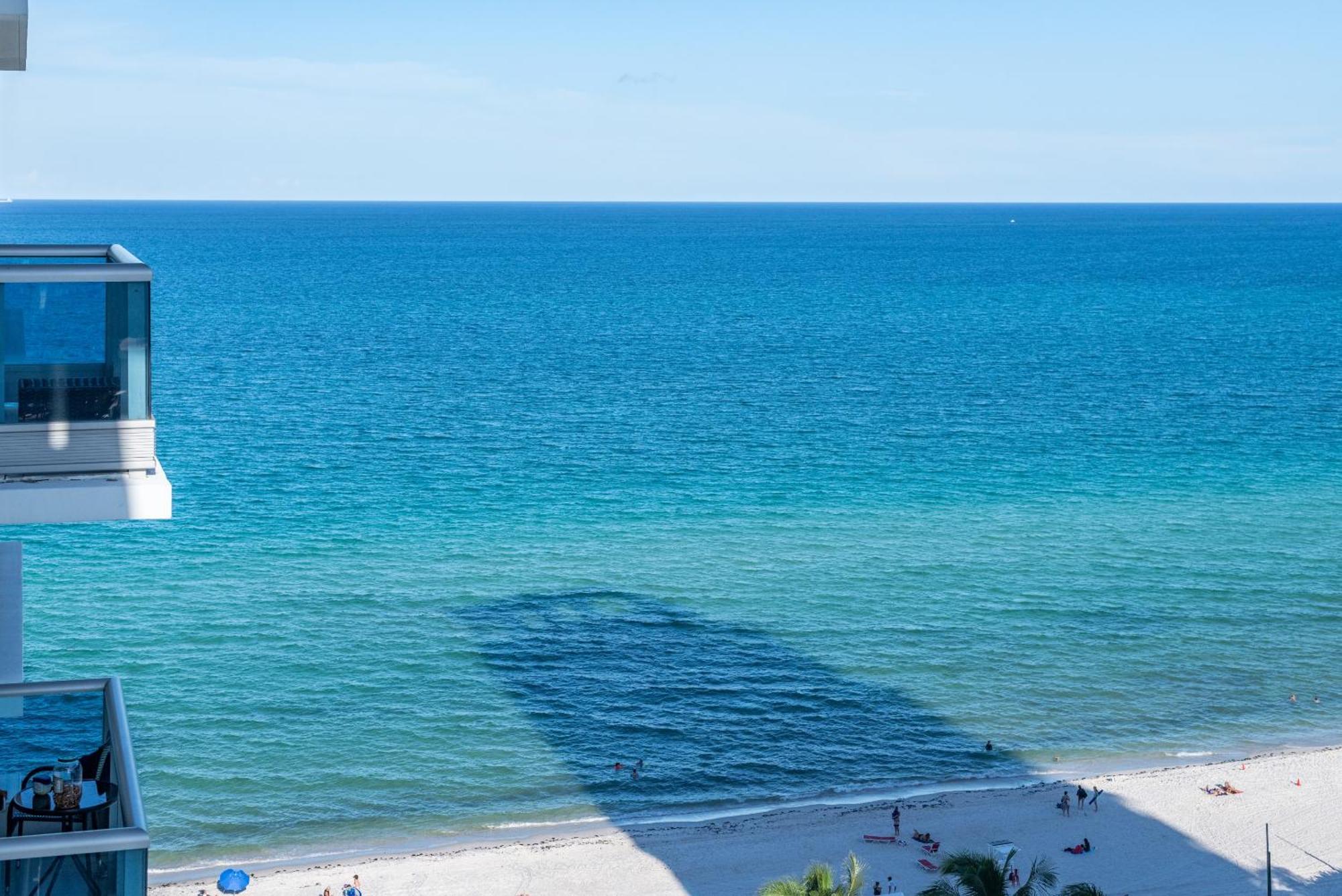 Bluebird Suites Monte Carlo Μαϊάμι Μπιτς Δωμάτιο φωτογραφία